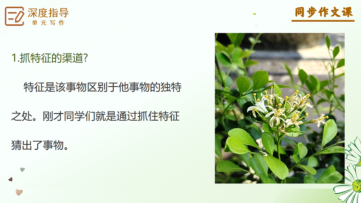17668728第8页