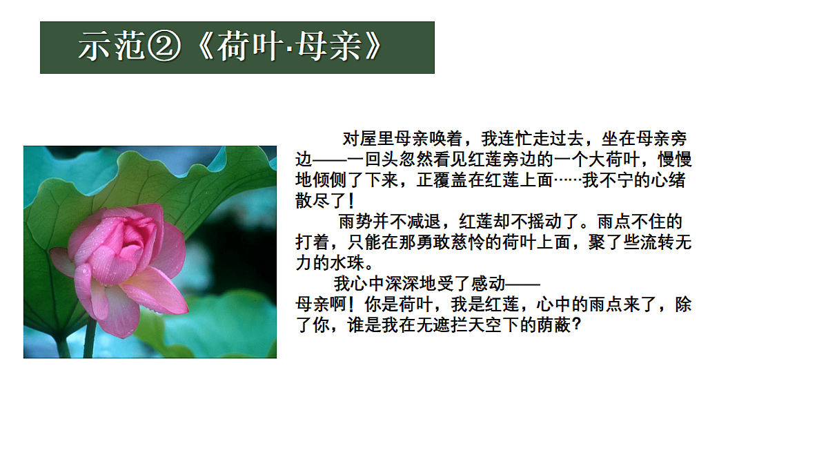 17668907第5页