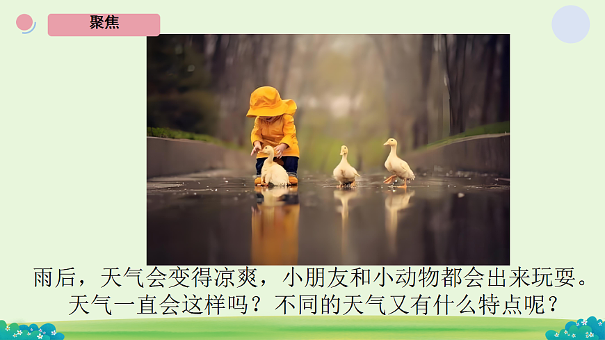 17668932第5页