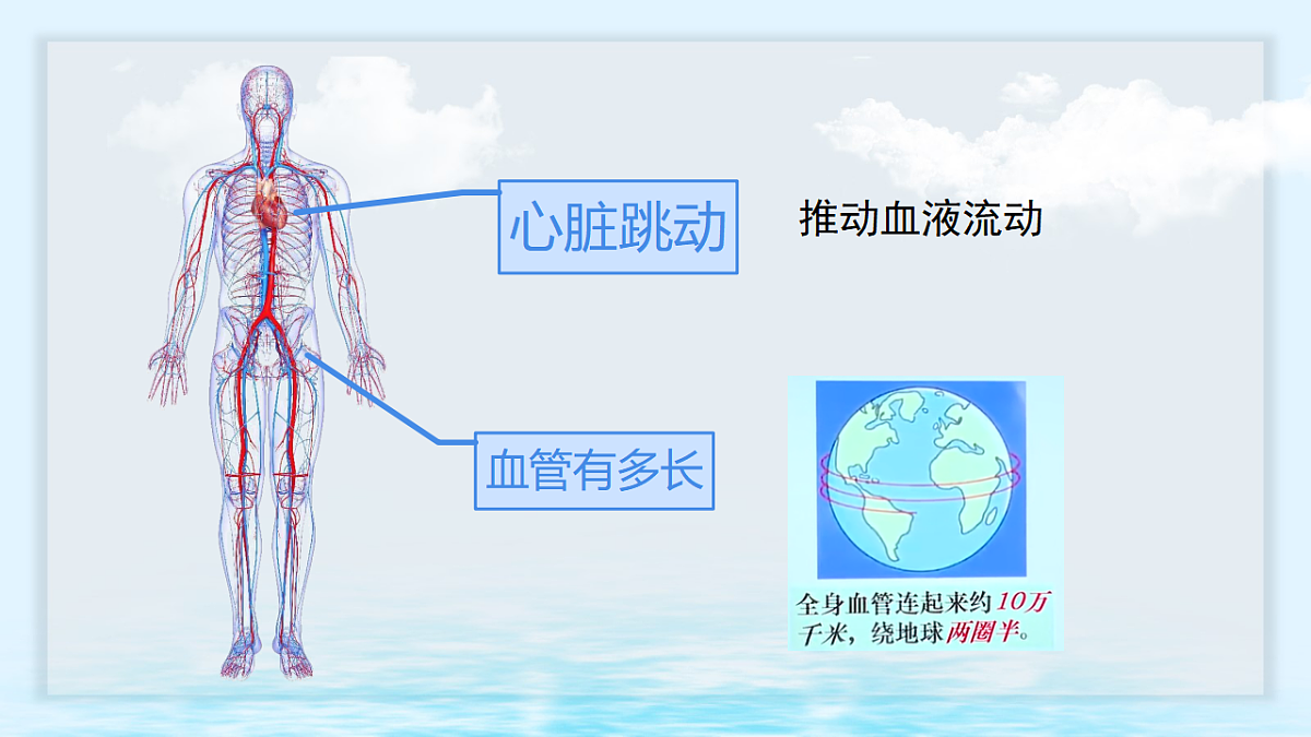 17668940第3页