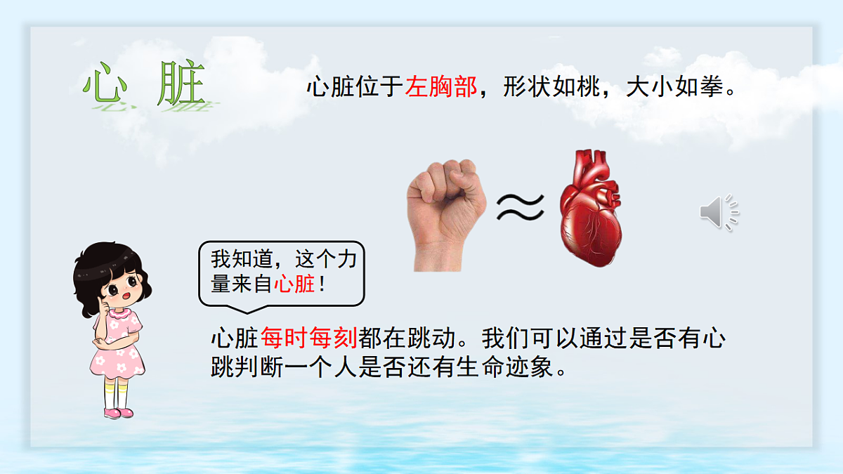 17668940第5页