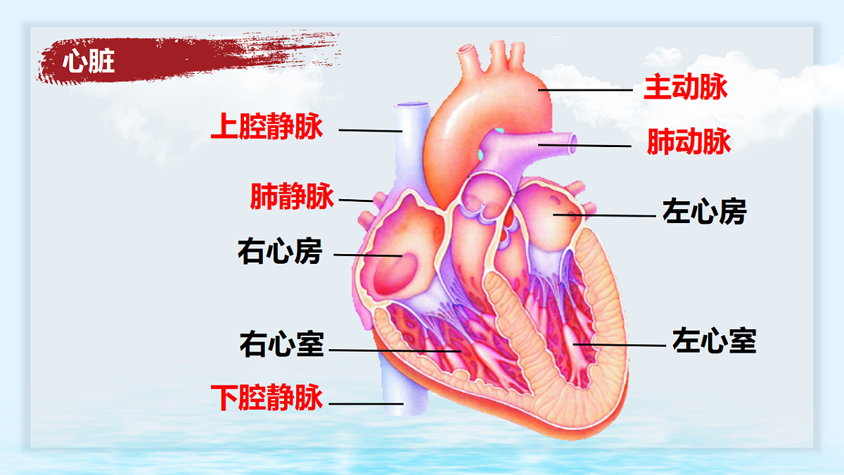 17668940第7页