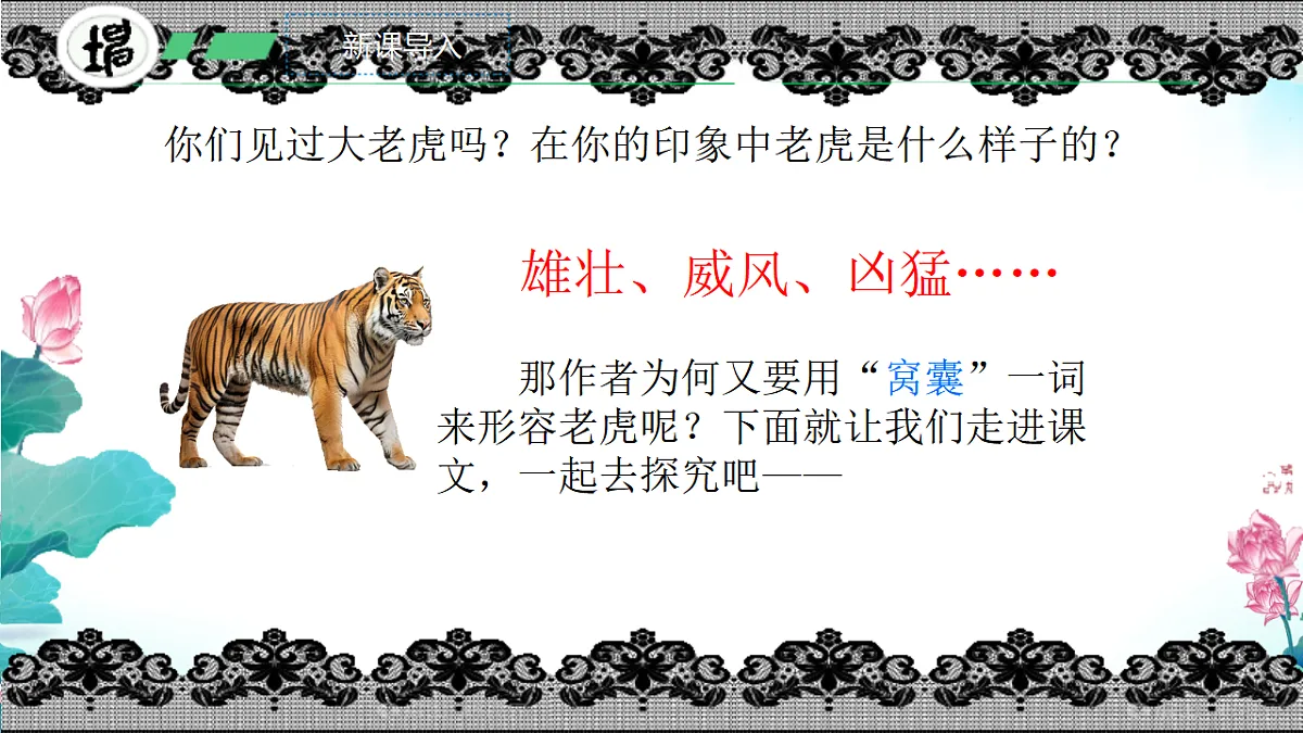 17668954第3页