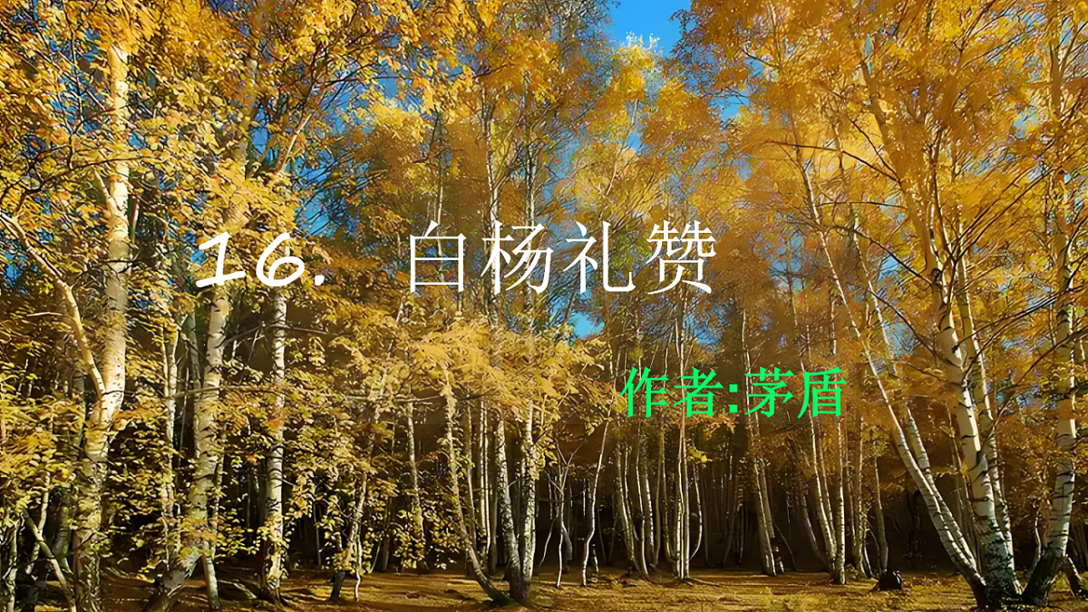 17668986第1页