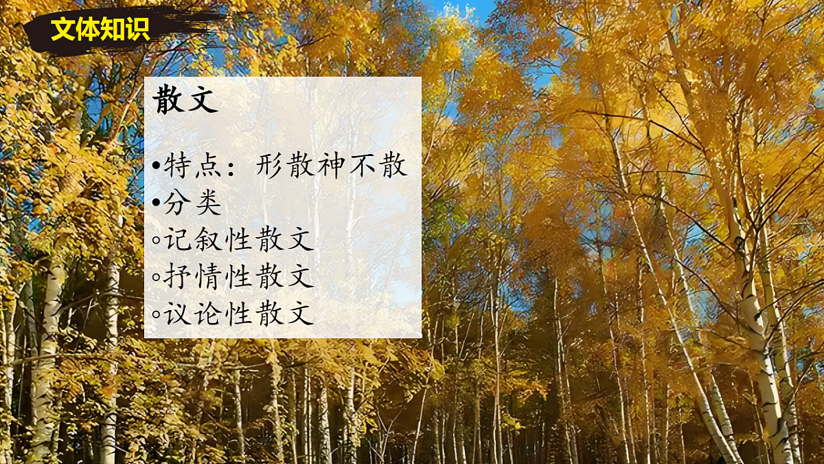 17668986第2页