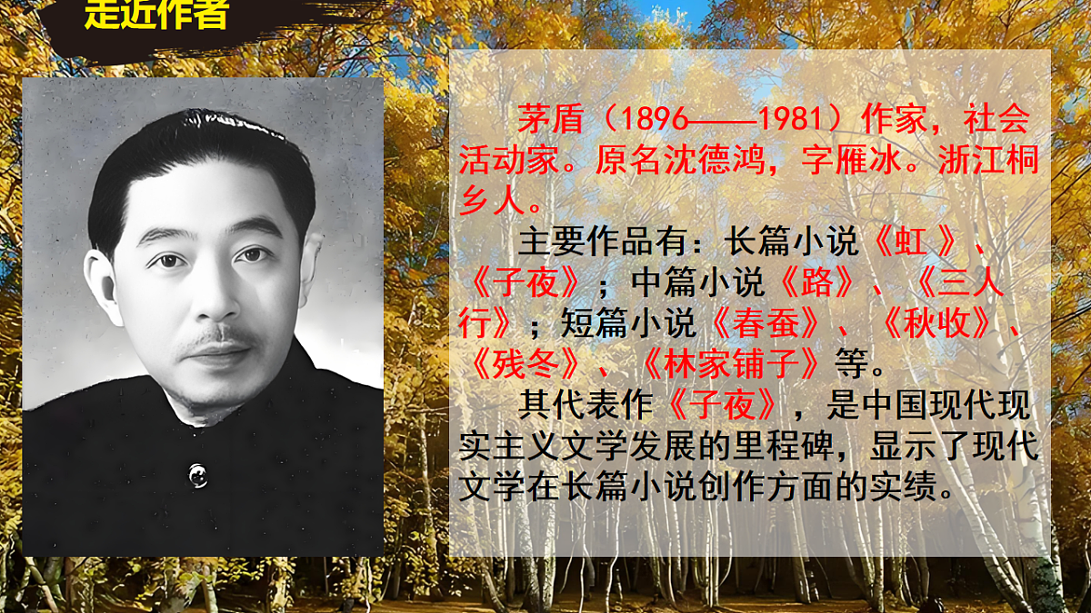 17668986第3页