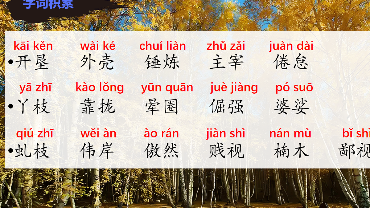 17668986第5页