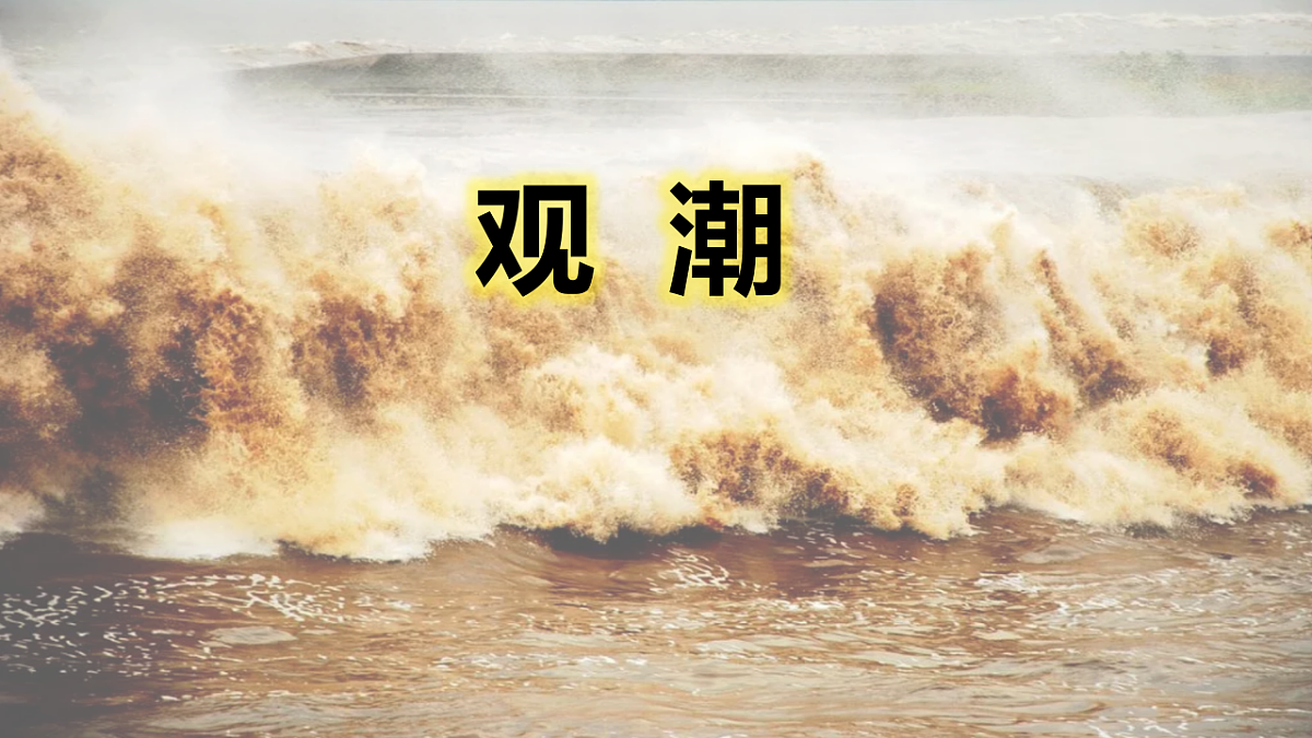 17669022第1页