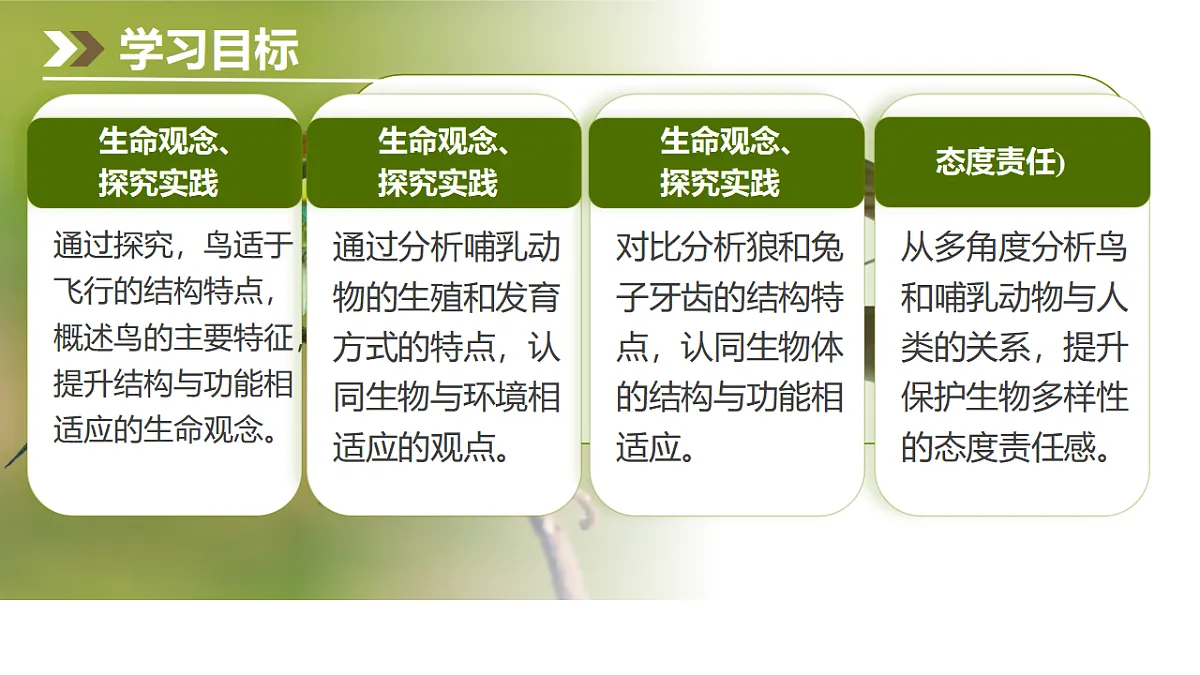 17669067第2页