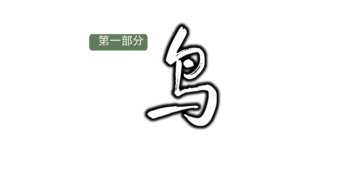 17669067第3页