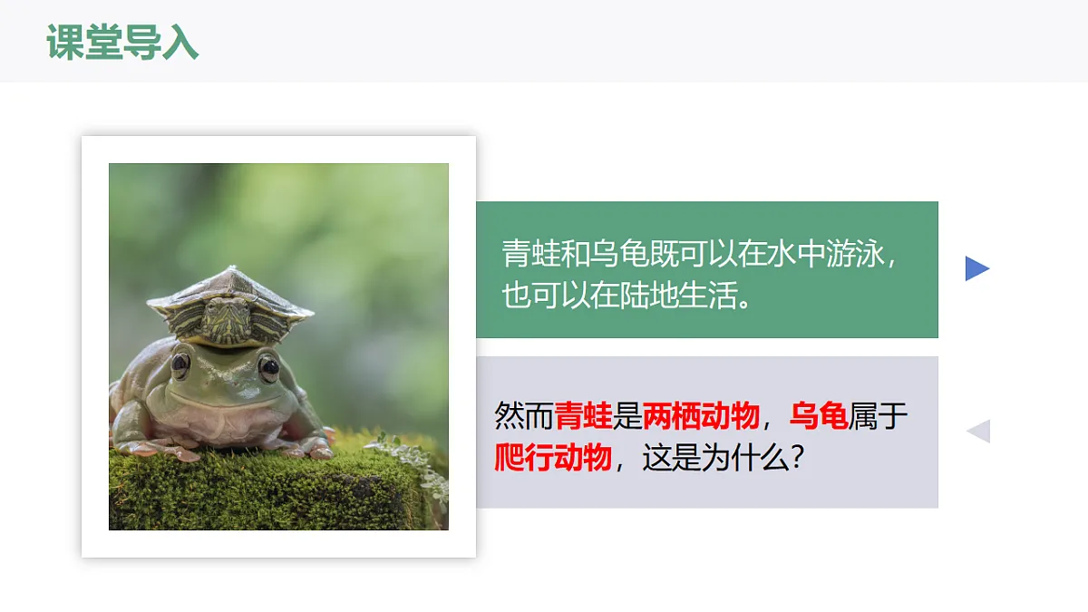 17669069第3页
