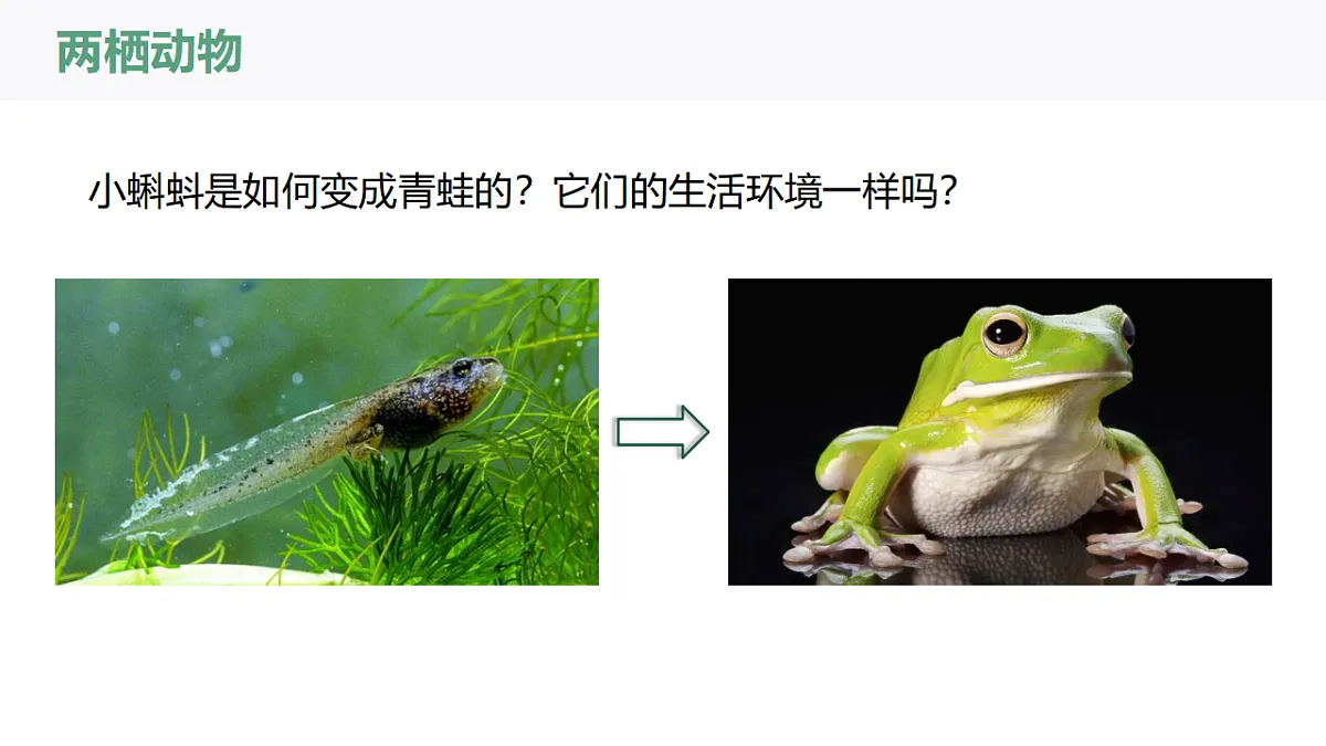 17669069第5页