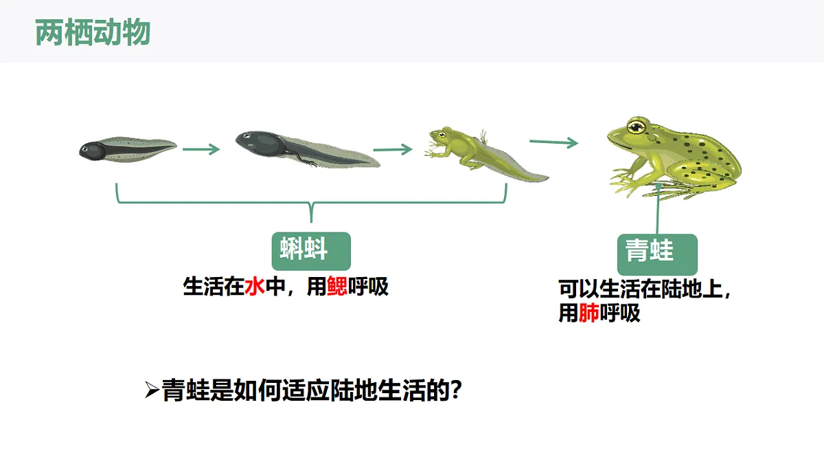 17669069第6页