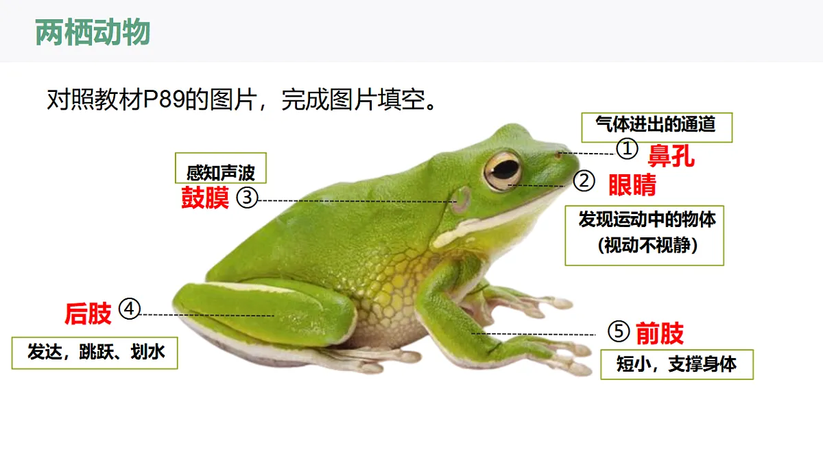 17669069第7页