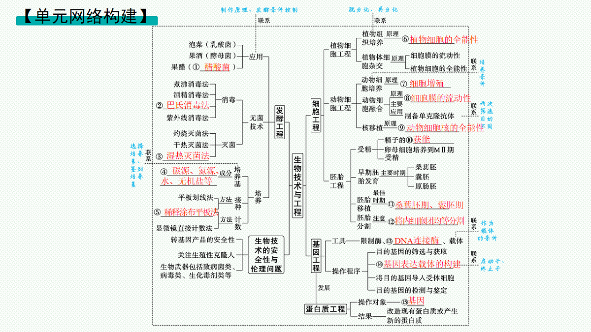 17669167第2页