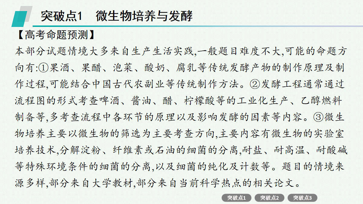 17669167第3页