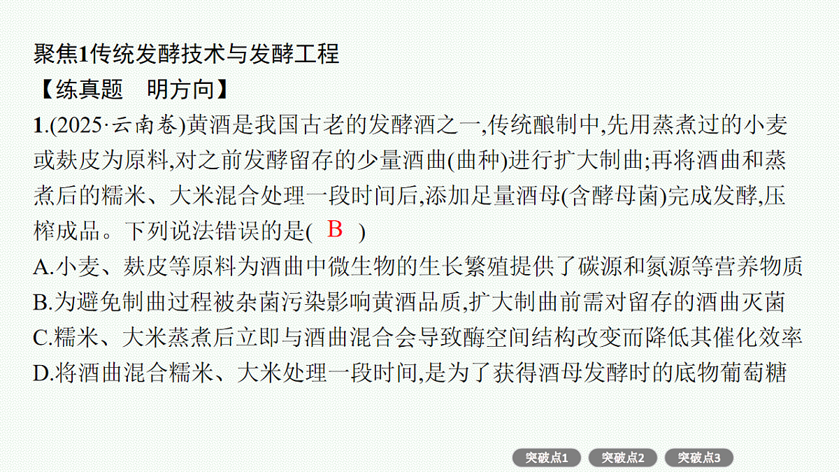 17669167第4页