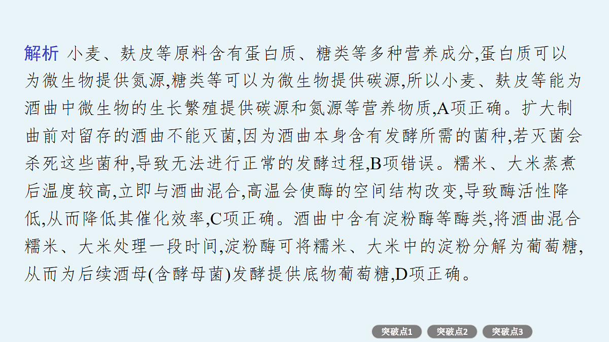17669167第5页