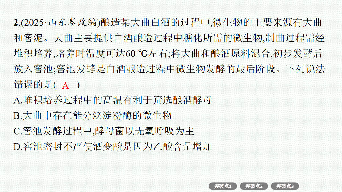 17669167第6页