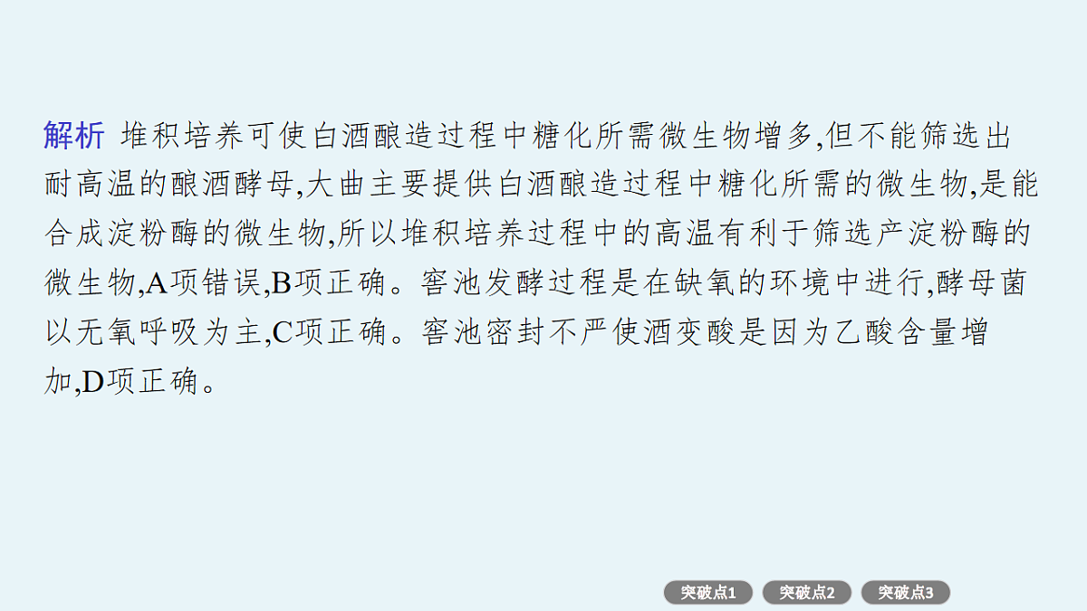 17669167第7页