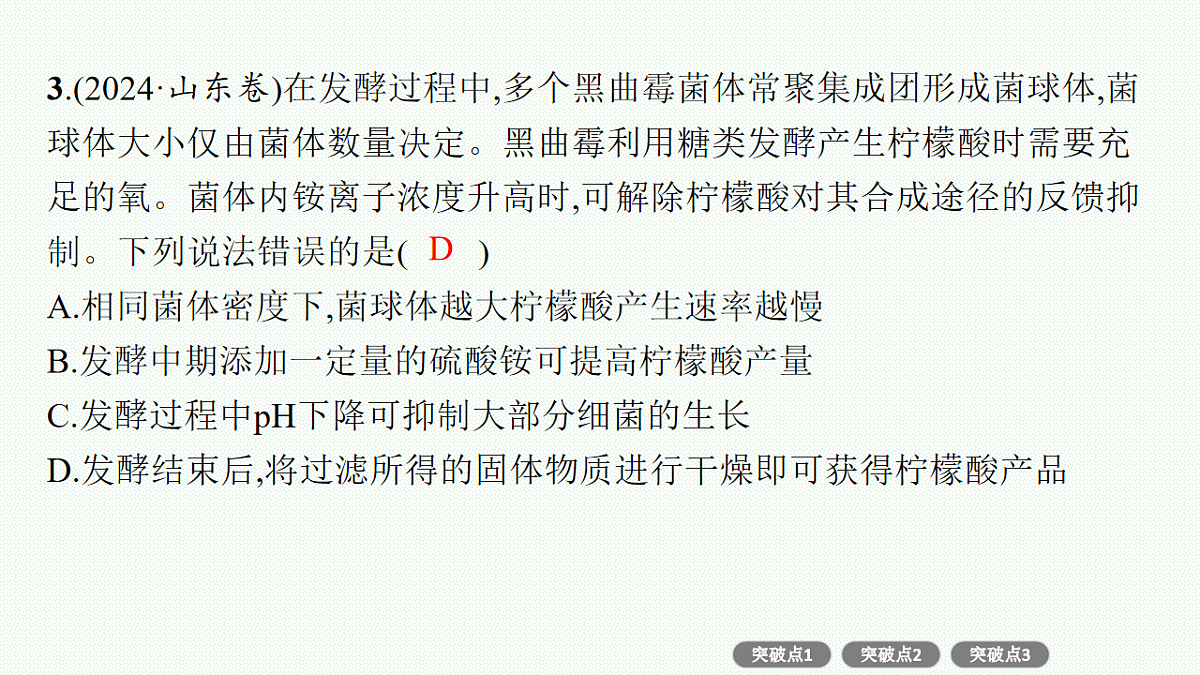 17669167第8页
