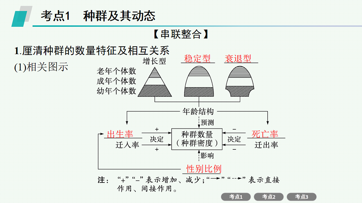 17669173第2页