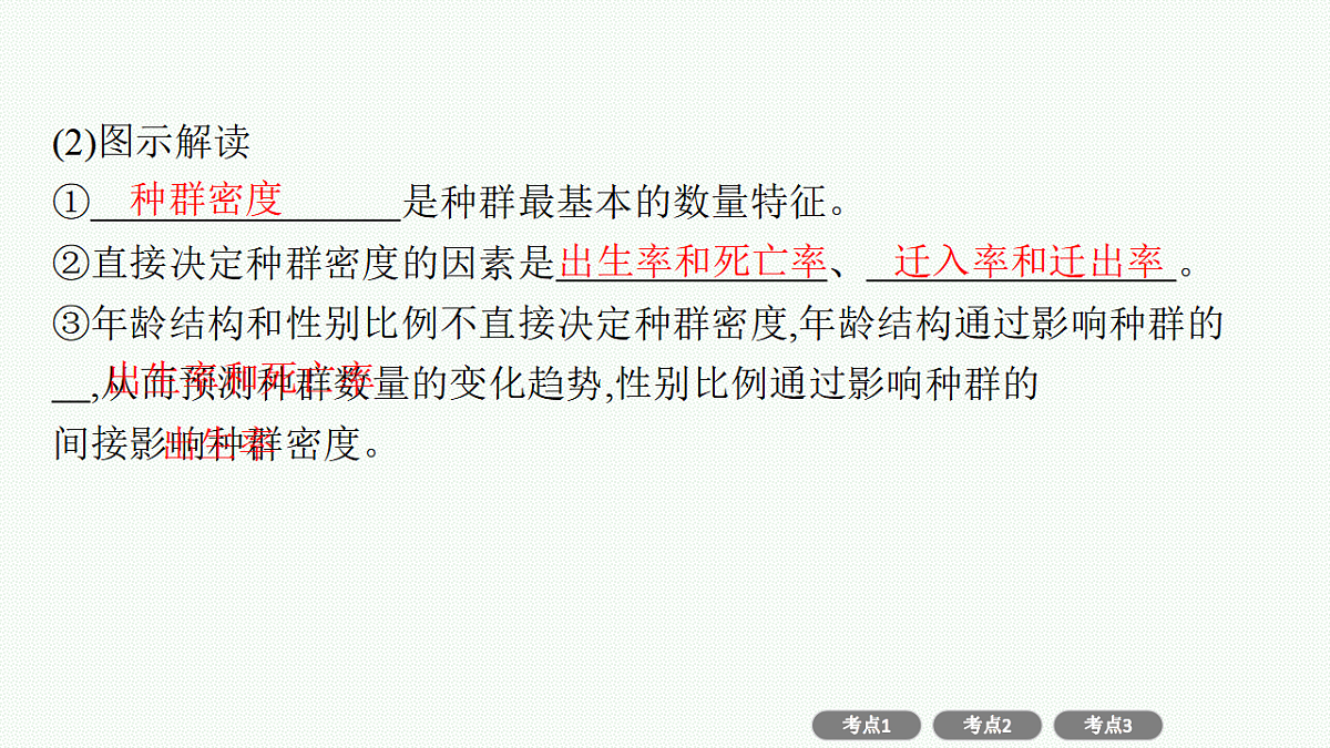 17669173第3页