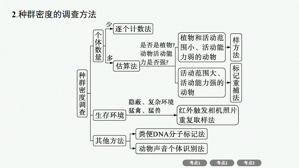 17669173第4页