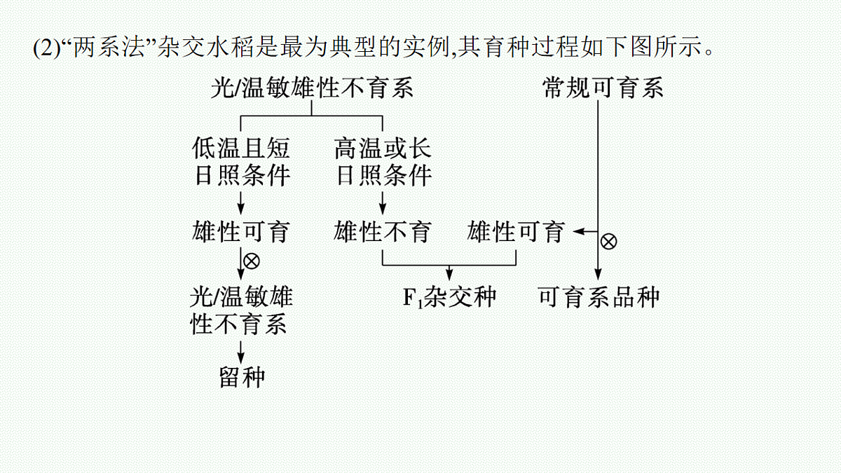 17669183第3页