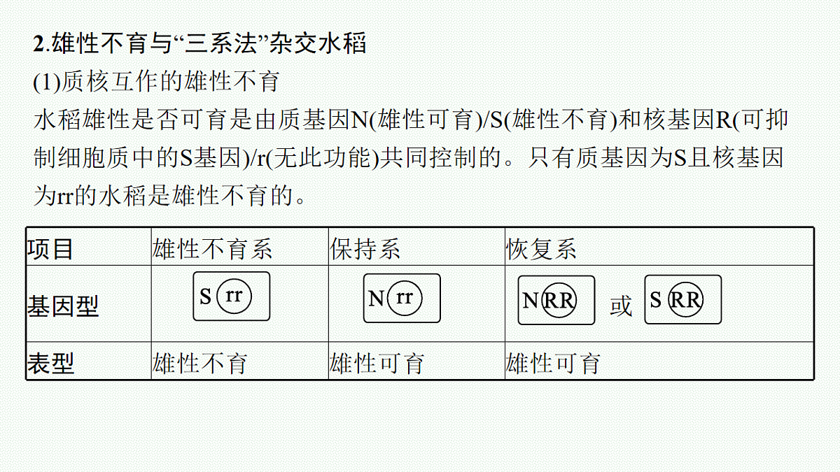 17669183第4页