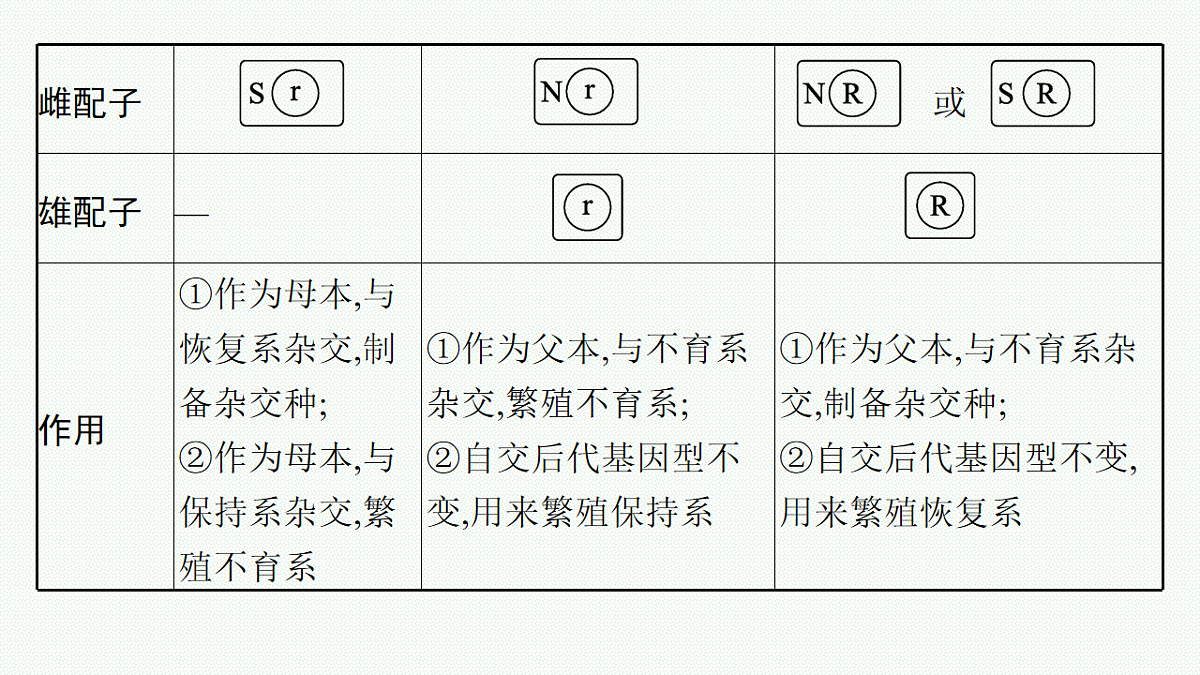 17669183第5页
