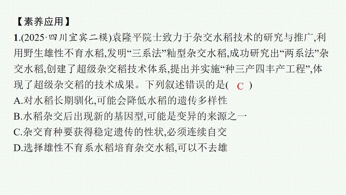 17669183第7页