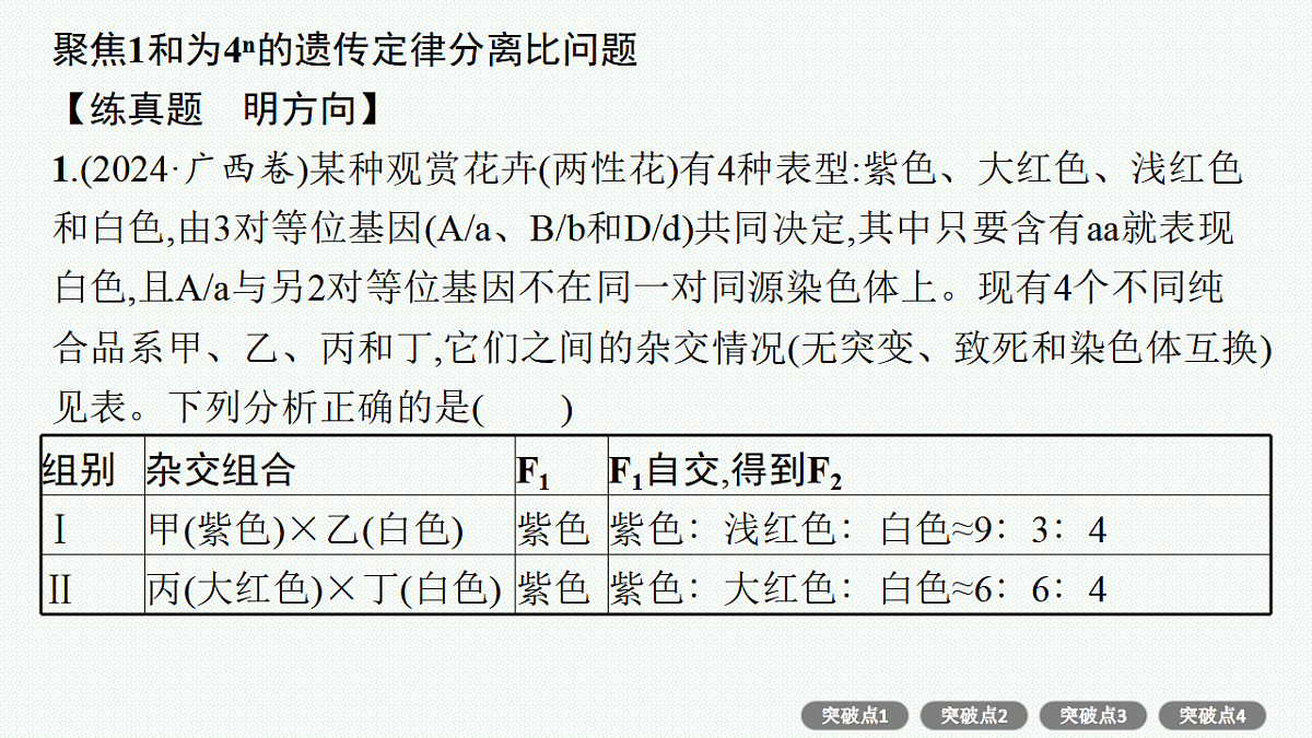 17669188第4页