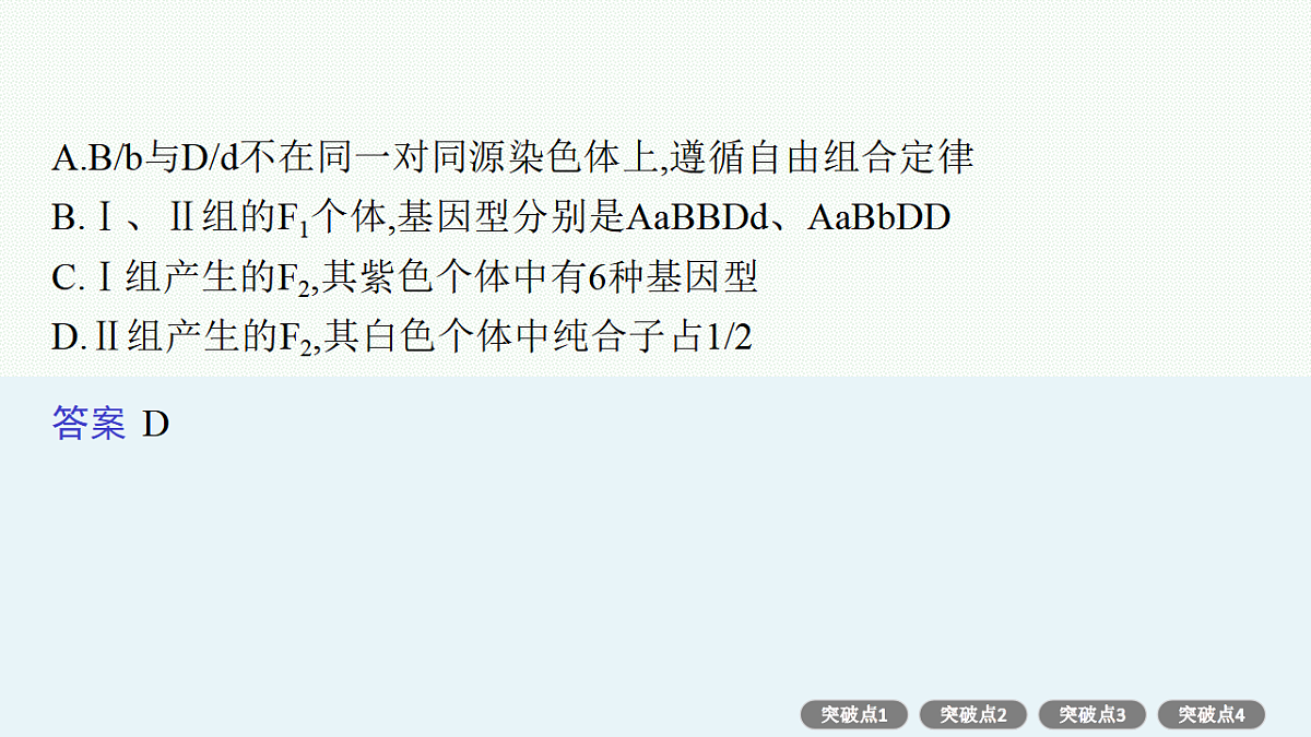17669188第5页