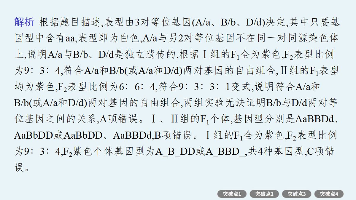 17669188第6页
