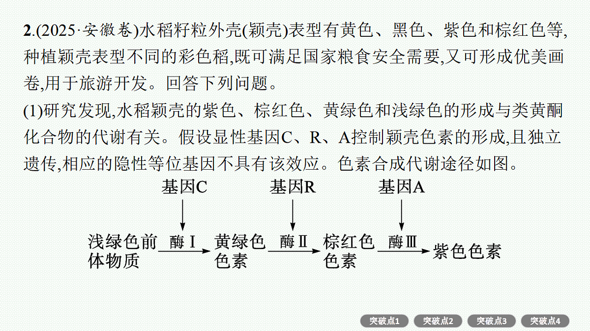 17669188第8页