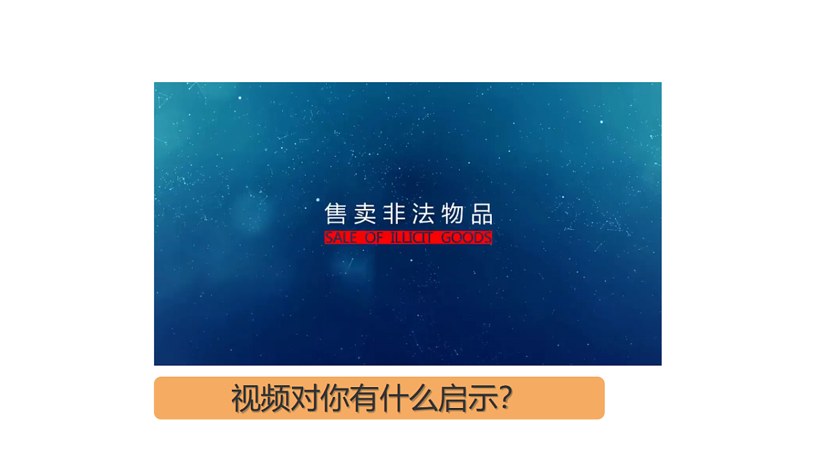 17669220第2页