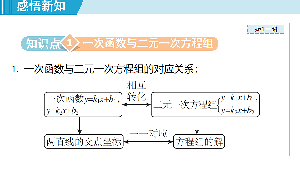 17669652第3页