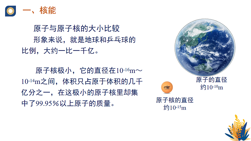 17670446第8页