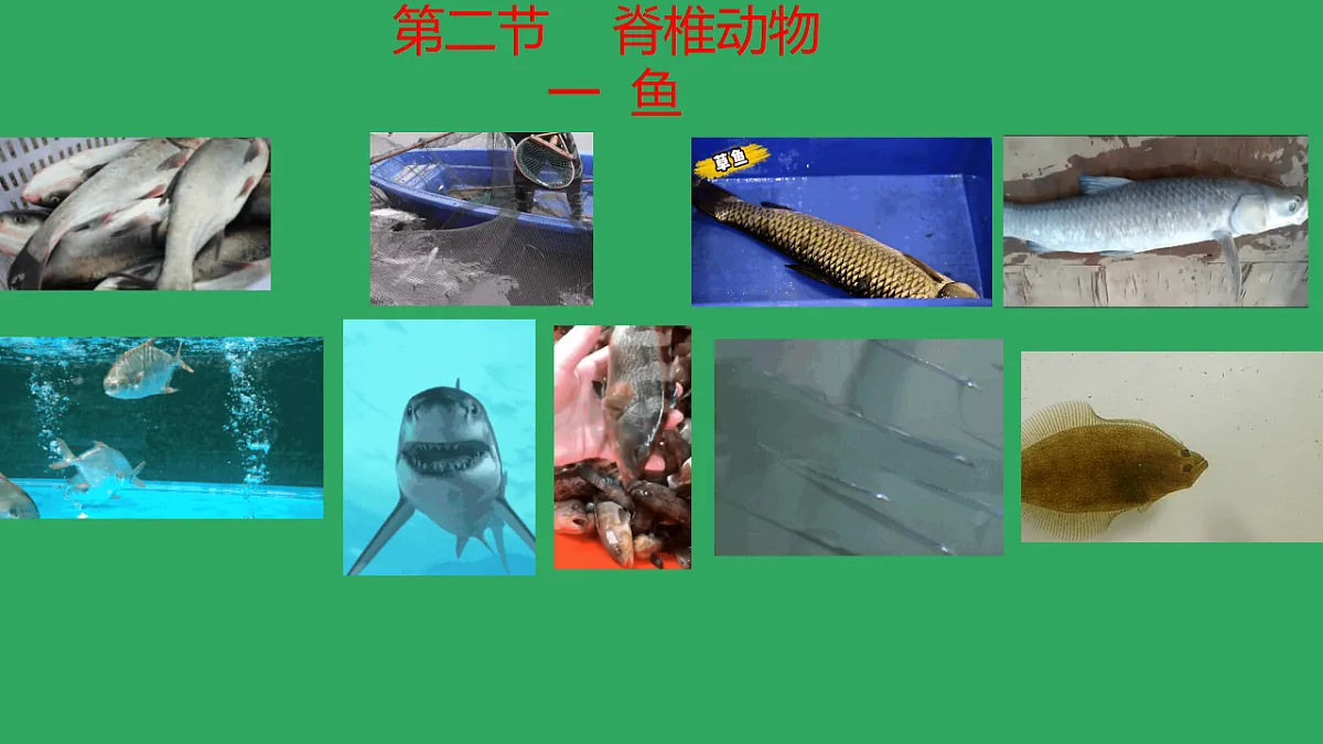 17670578第1页