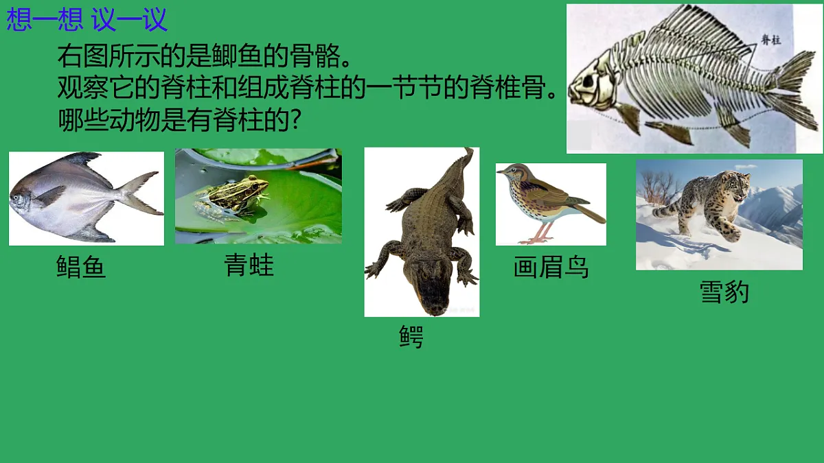 17670578第3页