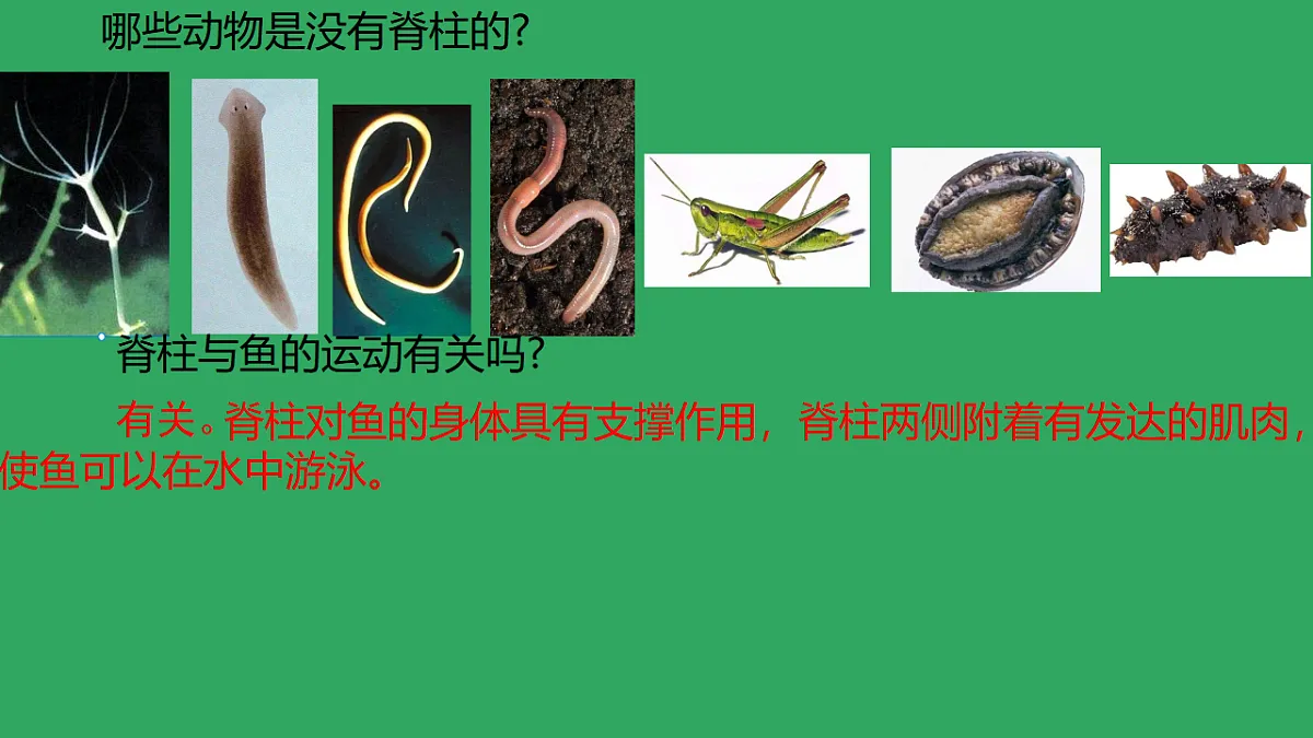 17670578第4页