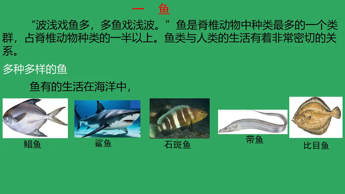 17670578第5页