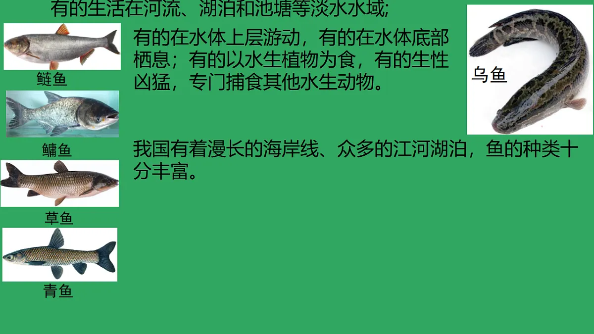 17670578第6页