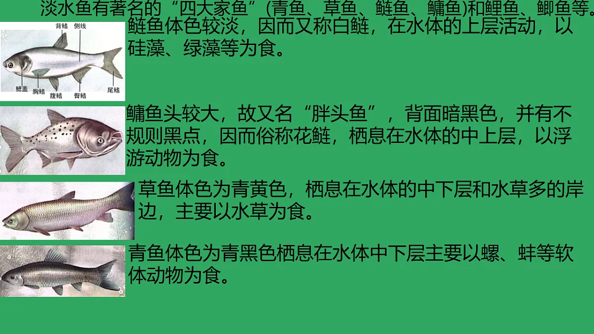 17670578第7页