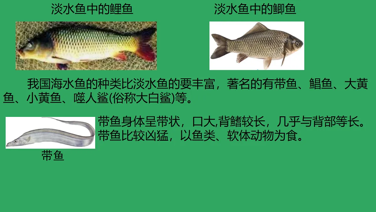 17670578第8页