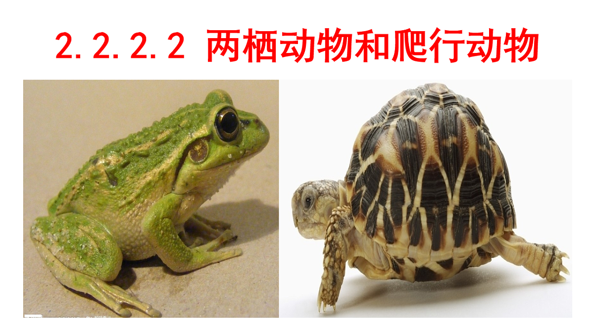 17670579第1页