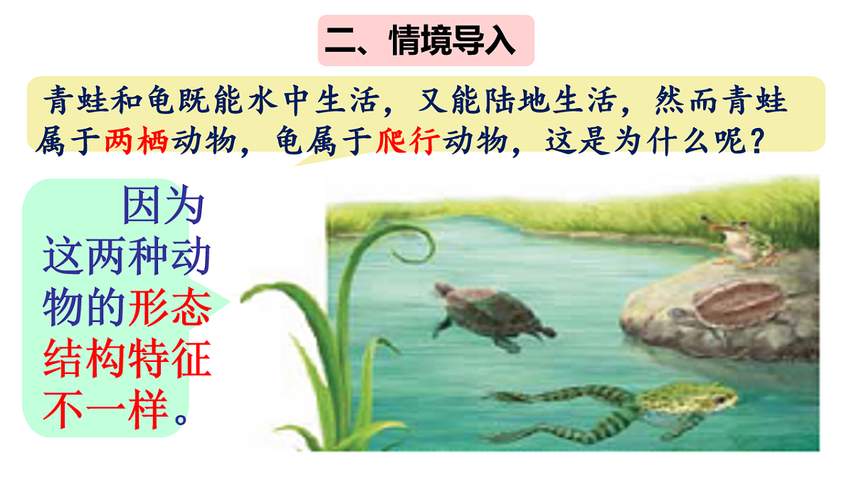 17670579第2页
