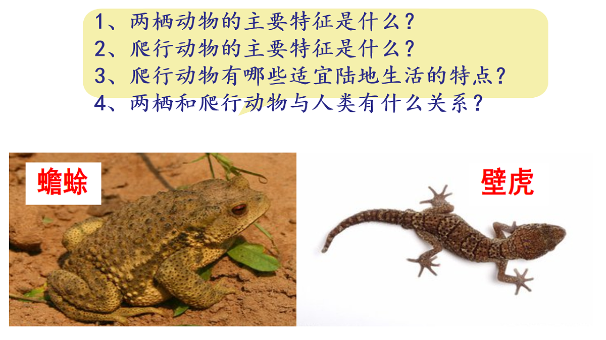 17670579第3页