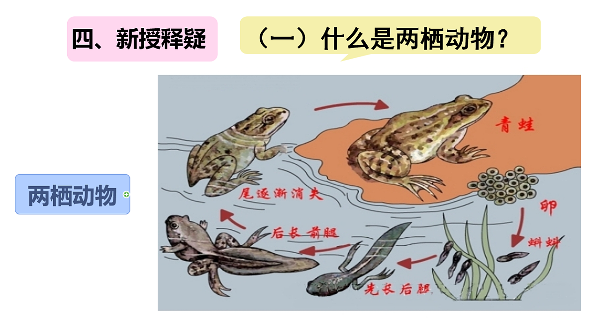 17670579第4页